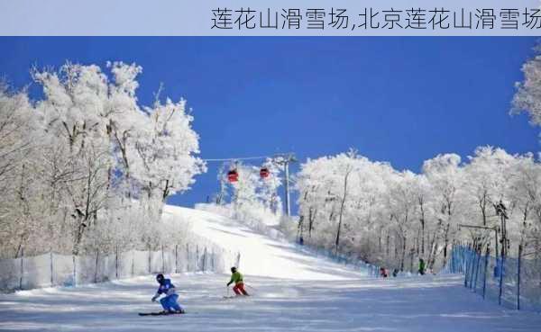 莲花山滑雪场,北京莲花山滑雪场