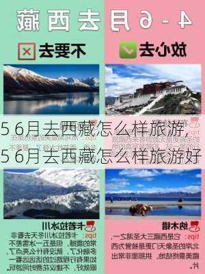 5 6月去西藏怎么样旅游,5 6月去西藏怎么样旅游好