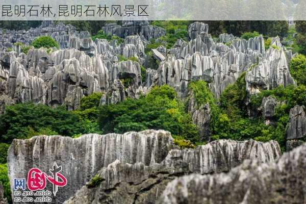 昆明石林,昆明石林风景区