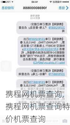 携程网机票查询,携程网机票查询特价机票查询