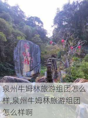 泉州牛姆林旅游组团怎么样,泉州牛姆林旅游组团怎么样啊