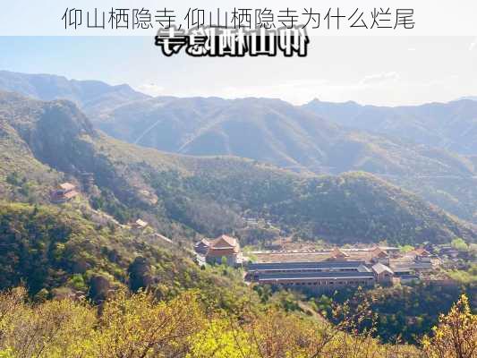 仰山栖隐寺,仰山栖隐寺为什么烂尾