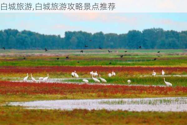 白城旅游,白城旅游攻略景点推荐