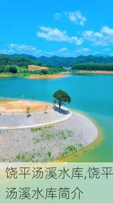 饶平汤溪水库,饶平汤溪水库简介