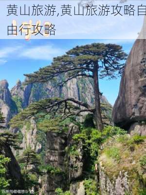 黄山旅游,黄山旅游攻略自由行攻略