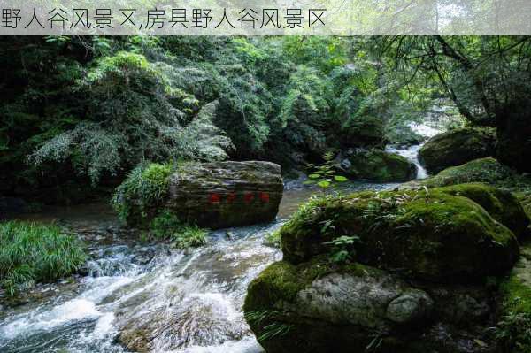 野人谷风景区,房县野人谷风景区