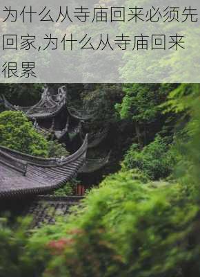 为什么从寺庙回来必须先回家,为什么从寺庙回来很累