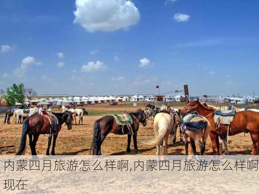 内蒙四月旅游怎么样啊,内蒙四月旅游怎么样啊现在