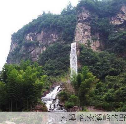 索溪峪,索溪峪的野