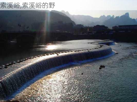 索溪峪,索溪峪的野