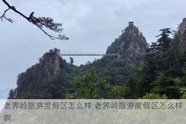 老界岭旅游度假区怎么样,老界岭旅游度假区怎么样啊