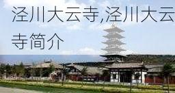 泾川大云寺,泾川大云寺简介