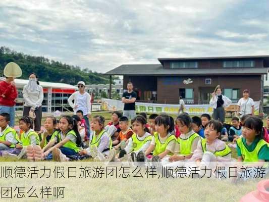 顺德活力假日旅游团怎么样,顺德活力假日旅游团怎么样啊