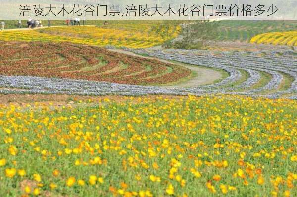 涪陵大木花谷门票,涪陵大木花谷门票价格多少