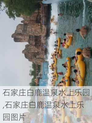 石家庄白鹿温泉水上乐园,石家庄白鹿温泉水上乐园图片