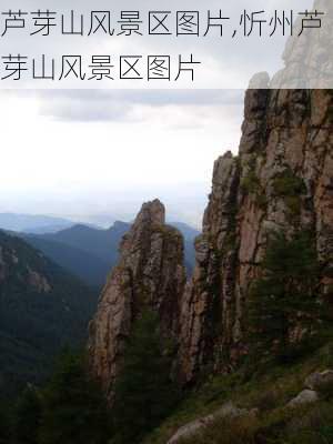 芦芽山风景区图片,忻州芦芽山风景区图片