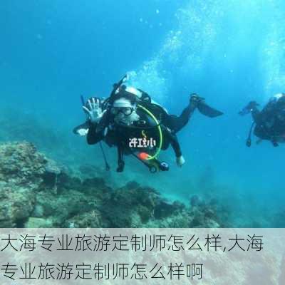 大海专业旅游定制师怎么样,大海专业旅游定制师怎么样啊