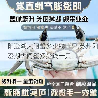 阳澄湖大闸蟹多少钱一只,苏州阳澄湖大闸蟹多少钱一只