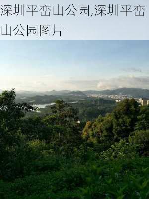 深圳平峦山公园,深圳平峦山公园图片