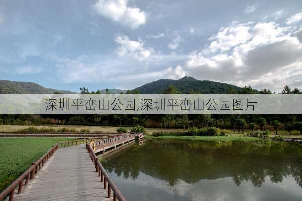 深圳平峦山公园,深圳平峦山公园图片