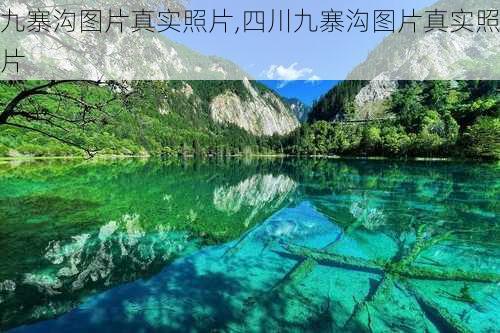 九寨沟图片真实照片,四川九寨沟图片真实照片