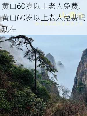 黄山60岁以上老人免费,黄山60岁以上老人免费吗现在