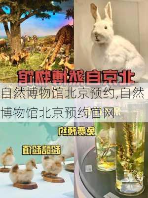 自然博物馆北京预约,自然博物馆北京预约官网