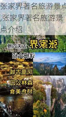 张家界著名旅游景点,张家界著名旅游景点介绍