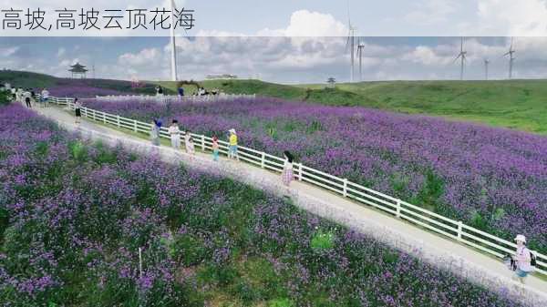 高坡,高坡云顶花海