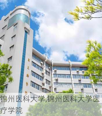 锦州医科大学,锦州医科大学医疗学院