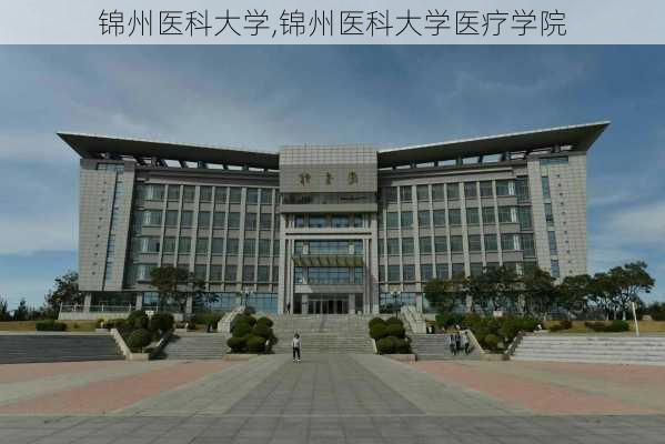 锦州医科大学,锦州医科大学医疗学院