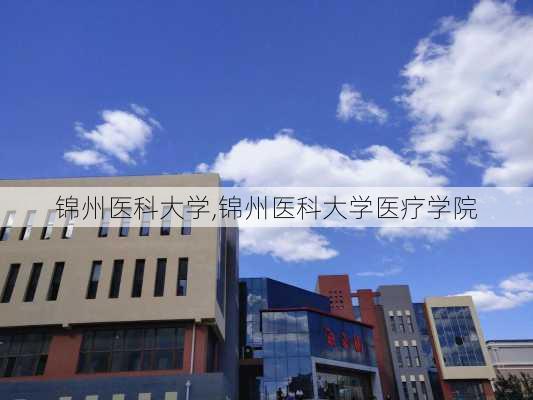 锦州医科大学,锦州医科大学医疗学院