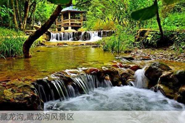 藏龙沟,藏龙沟风景区