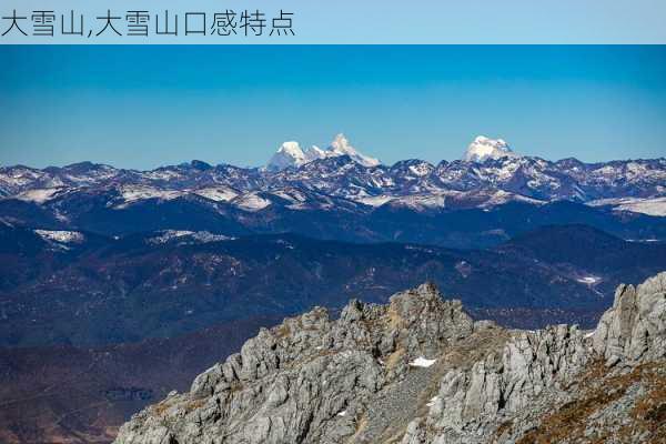 大雪山,大雪山口感特点