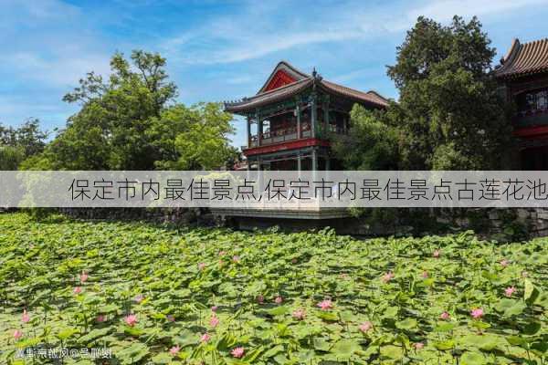 保定市内最佳景点,保定市内最佳景点古莲花池