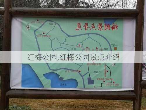 红梅公园,红梅公园景点介绍