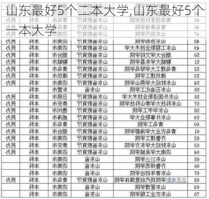 山东最好5个二本大学,山东最好5个一本大学