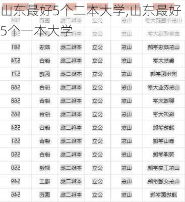 山东最好5个二本大学,山东最好5个一本大学