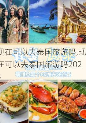 现在可以去泰国旅游吗,现在可以去泰国旅游吗2023