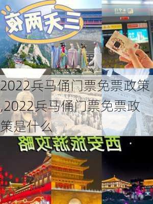 2022兵马俑门票免票政策,2022兵马俑门票免票政策是什么