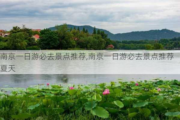 南京一日游必去景点推荐,南京一日游必去景点推荐夏天