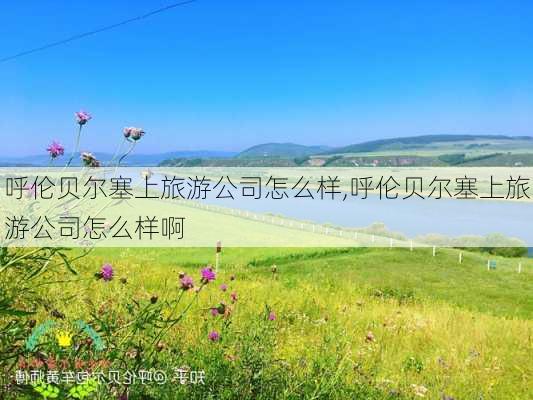 呼伦贝尔塞上旅游公司怎么样,呼伦贝尔塞上旅游公司怎么样啊