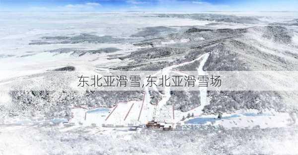 东北亚滑雪,东北亚滑雪场