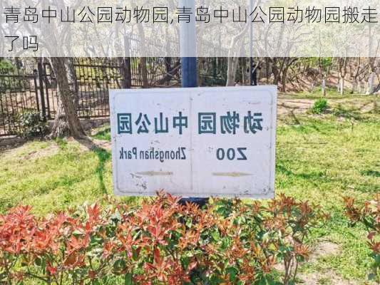 青岛中山公园动物园,青岛中山公园动物园搬走了吗