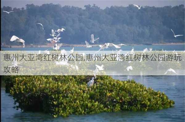 惠州大亚湾红树林公园,惠州大亚湾红树林公园游玩攻略