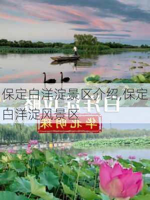 保定白洋淀景区介绍,保定白洋淀风景区