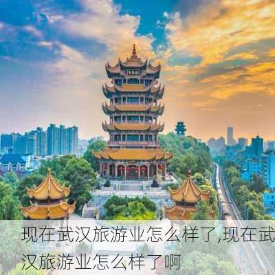 现在武汉旅游业怎么样了,现在武汉旅游业怎么样了啊