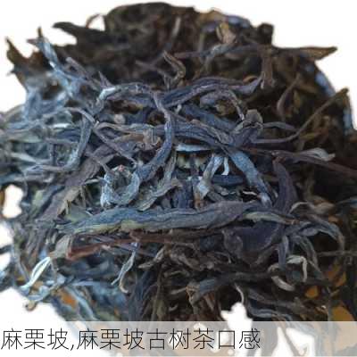 麻栗坡,麻栗坡古树茶口感