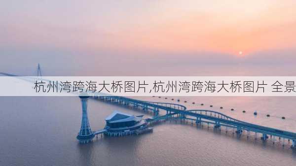 杭州湾跨海大桥图片,杭州湾跨海大桥图片 全景