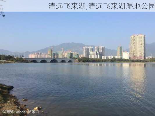 清远飞来湖,清远飞来湖湿地公园